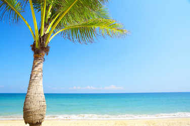 Similar image 7448872