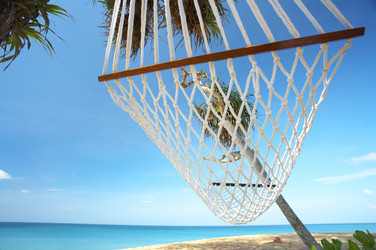 Similar image 7448875