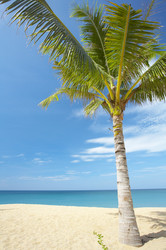 Similar image 7448878