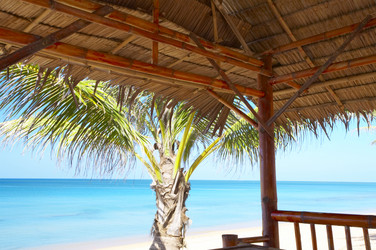 Similar image 7448879