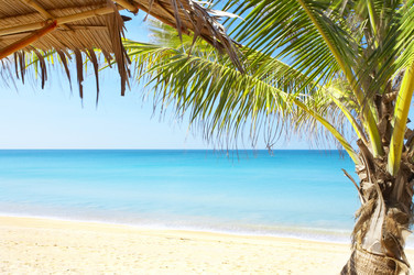 Similar image 7448882