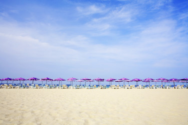 Similar image 7448884