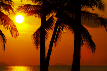 Similar image 7448885