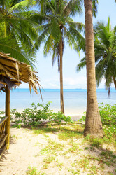 Similar image 7448890