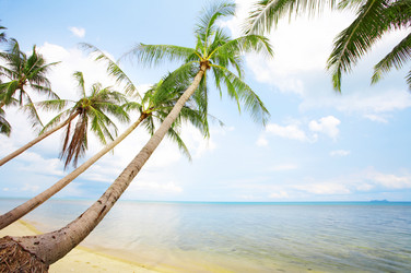 Similar image 7448891