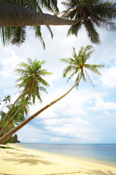 Similar image 7448893