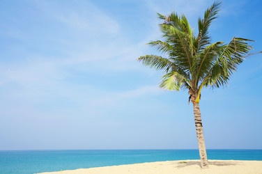 Similar image 7448899