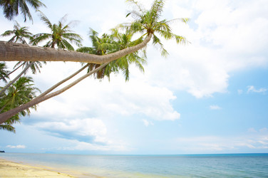 Similar image 7448901