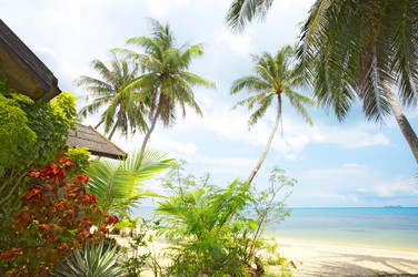 Similar image 7448902