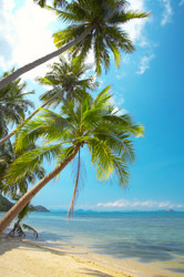 Similar image 7448903