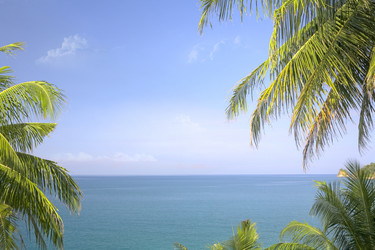 Similar image 7448904