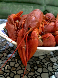 Similar image 7448979