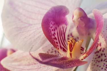 Similar image 7449167