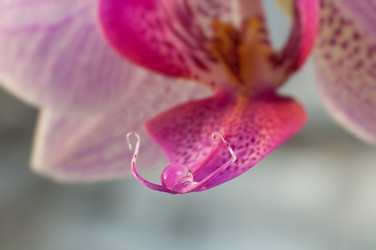 Similar image 7449169