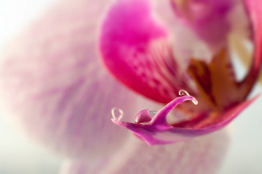 Similar image 7449172