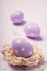 Similar image 7449530