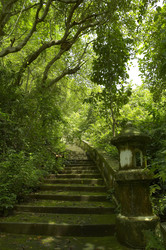 Similar image 7449751