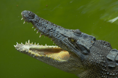 Similar image 7449786