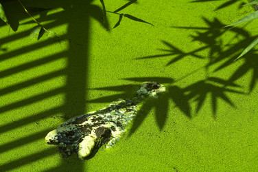 Similar image 7449787