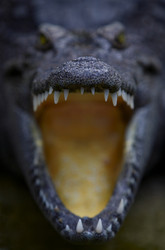 Similar image 7449788