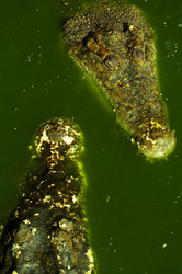 Similar image 7449789