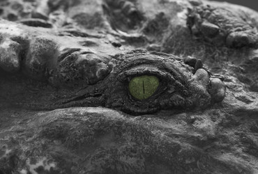 Similar image 7449790