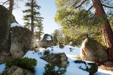 Similar image 7449812