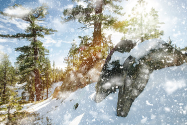 Similar image 7449819