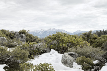 Similar image 7449834