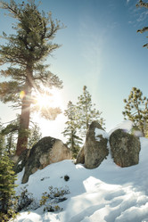 Similar image 7449837