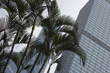 Similar image 7449841