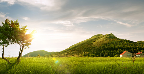 Similar image 7449849