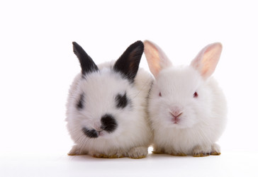 Similar image 7449862