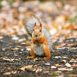 Similar image 7449882