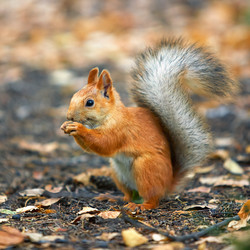 Similar image 7449884