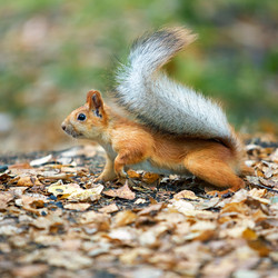 Similar image 7449885