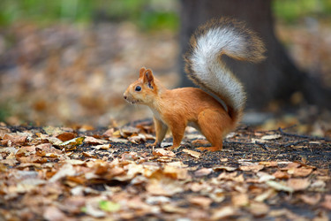 Similar image 7449887