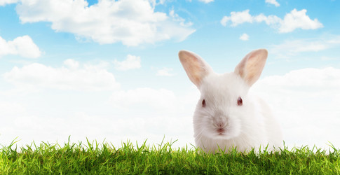 Similar image 7449888