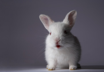 Similar image 7449892