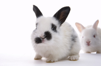 Similar image 7449893