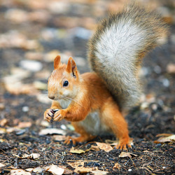 Similar image 7449921