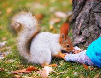 Similar image 7449922