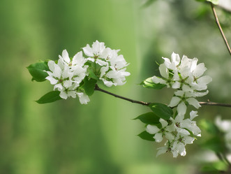 Similar image 7449923