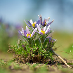 Similar image 7449924