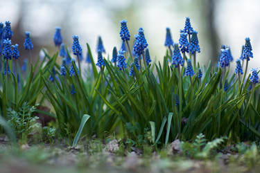 Similar image 7449927