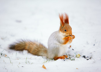 Similar image 7449932