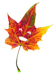 Similar image 7449934