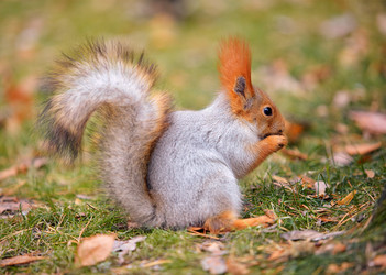 Similar image 7449937