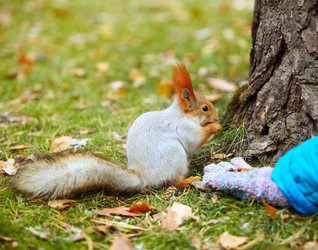 Similar image 7449939