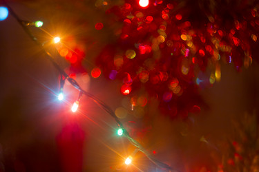 Similar image 7450162